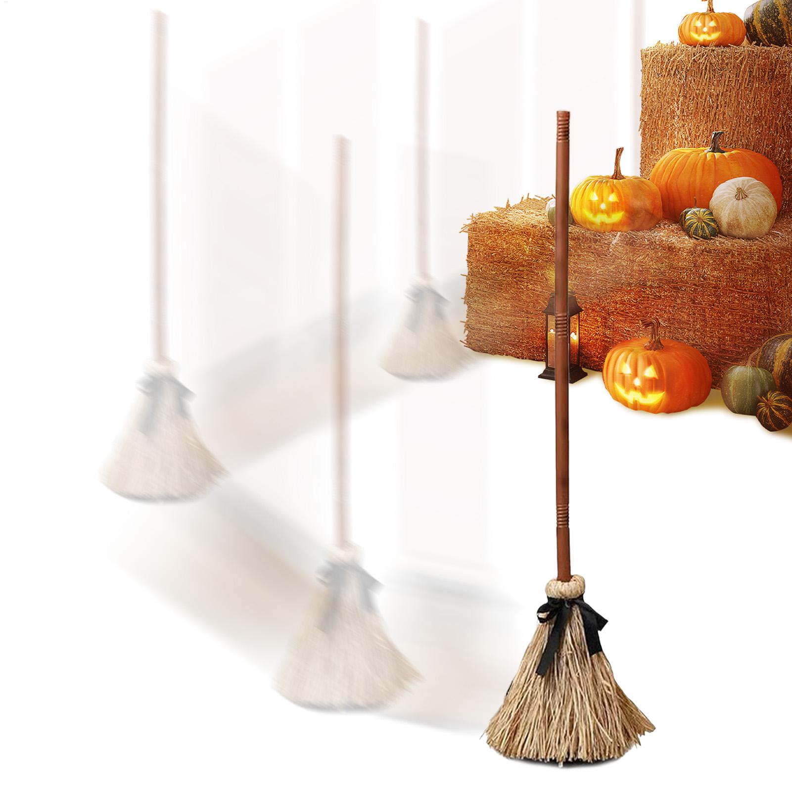 Witch Broom Battery Powered Fu - Outdoor Power Broom 评论和价格